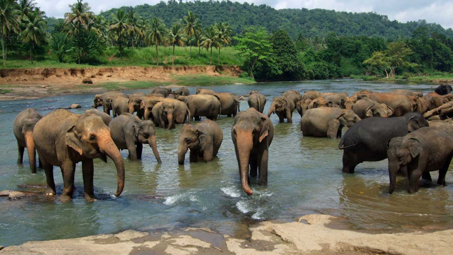 Laka tours